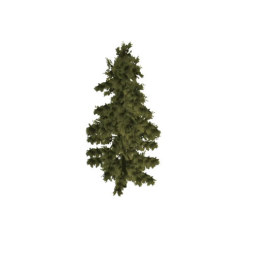 pine tree small fg 3